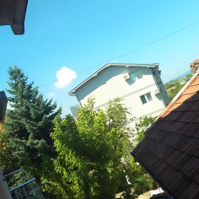Villa Vlasta - Apartman - Prizemlje - 1