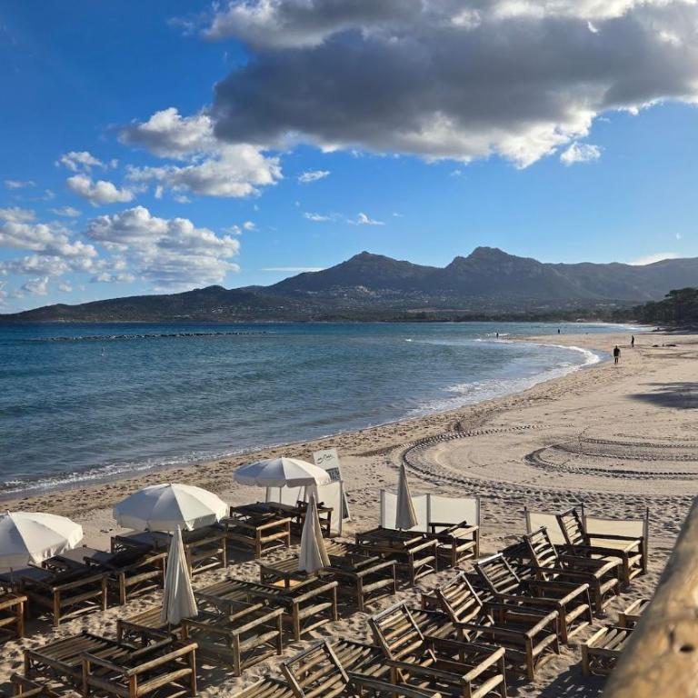 Studio Calvi avec jardinet à 2 min à pieds de la plage - Studio - 14