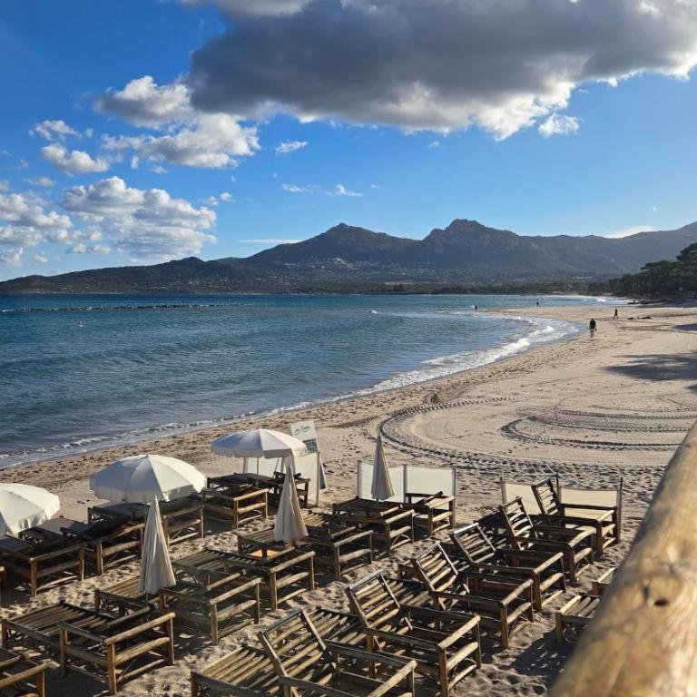 Studio Calvi avec jardinet à 2 min à pieds de la plage - Studio - 21