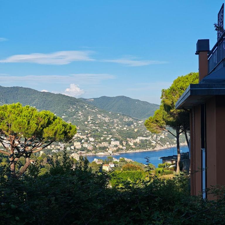 Appartamento in Residence - Appartement 1 Chambre avec Jardin - 6