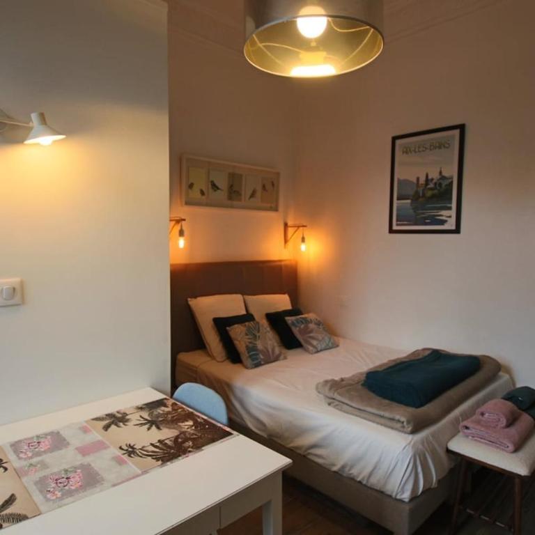 Studio 18 m2, en hyper centre-ville - Appartement 1 Chambre - 5