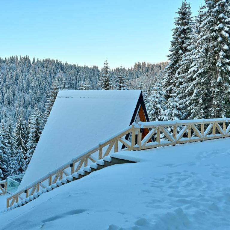 Tara mountain house Kopaonik - Two-Bedroom House - 10