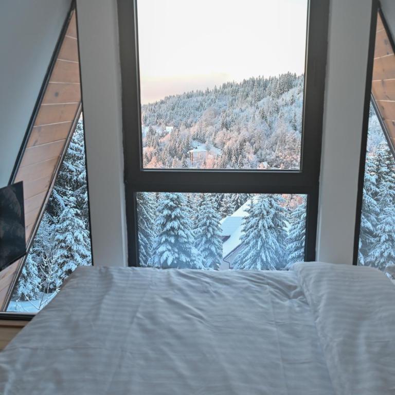 Tara mountain house Kopaonik - Two-Bedroom House - 47