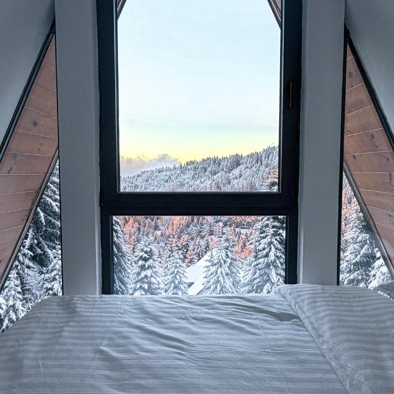 Tara mountain house Kopaonik - Two-Bedroom House - 45