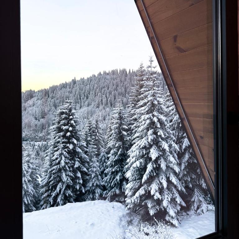 Tara mountain house Kopaonik - Two-Bedroom House - 46