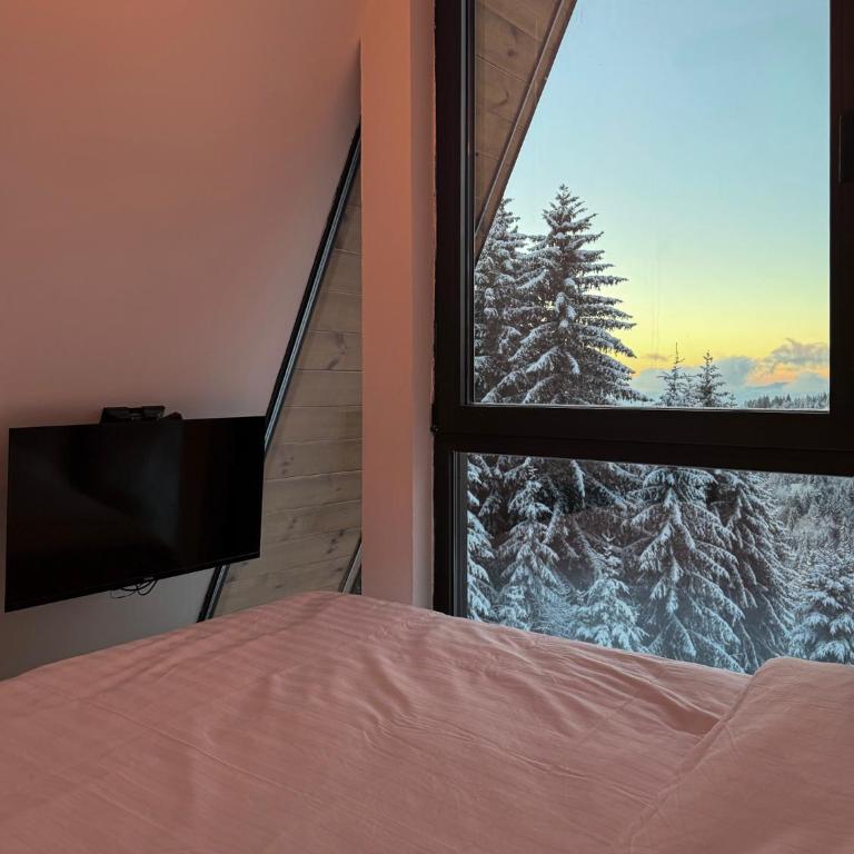 Tara mountain house Kopaonik - Two-Bedroom House - 49