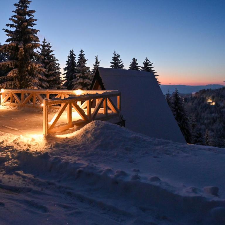 Tara mountain house Kopaonik - Two-Bedroom House - 6