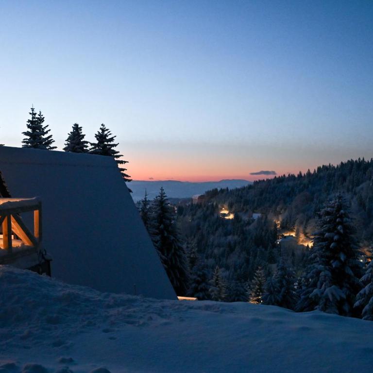Tara mountain house Kopaonik - Two-Bedroom House - 7