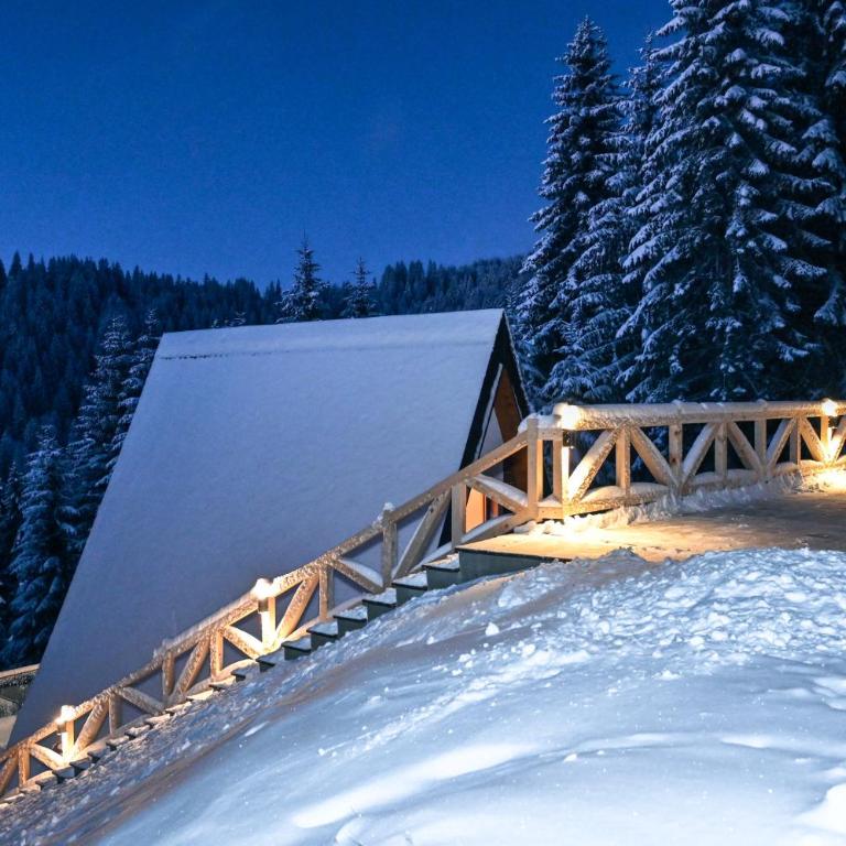 Tara mountain house Kopaonik - Two-Bedroom House - 5
