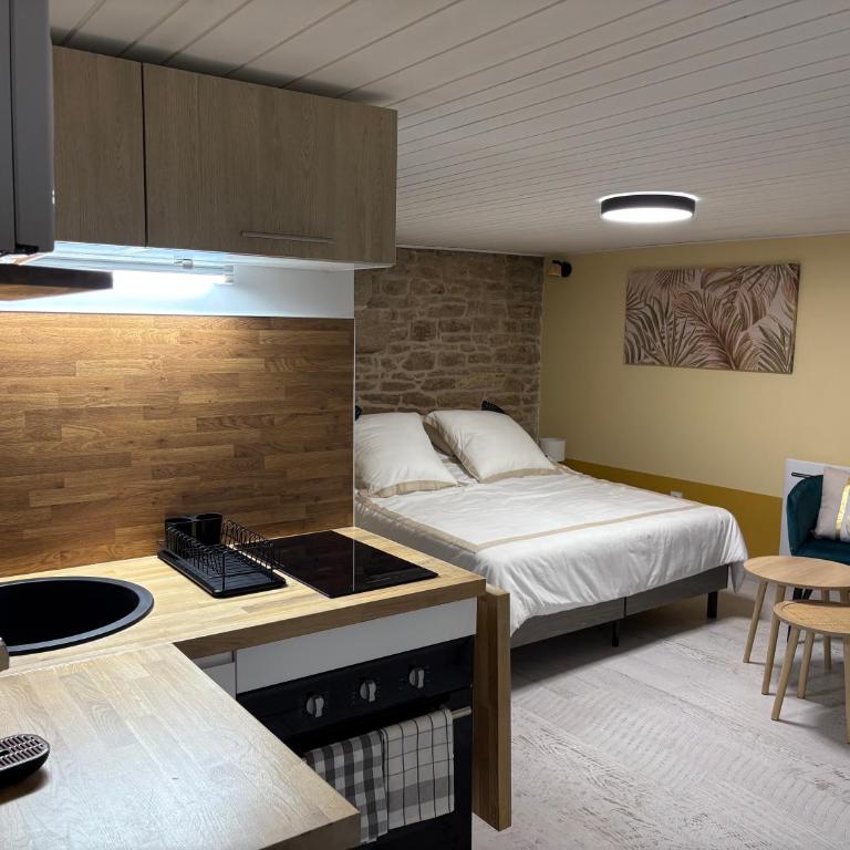 Le Ptit Saint Michel Au cœur du centre historique - Apartamento de 1 dormitorio - 5