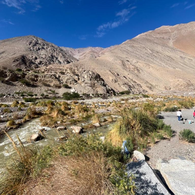 VALLE DEL ELQUI,Diaguitas, Vicuña - Casa de 3 dormitorios - 4