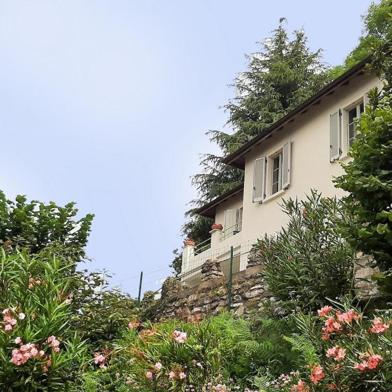 Villa Oreste, 4 bedroom period villa with view - Four-Bedroom House - 38