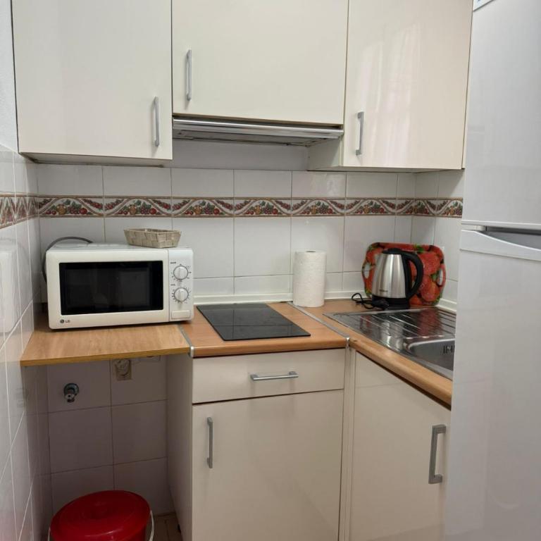 El HUERTO DE HELVIAS - Apartamento de 1 dormitorio - 11
