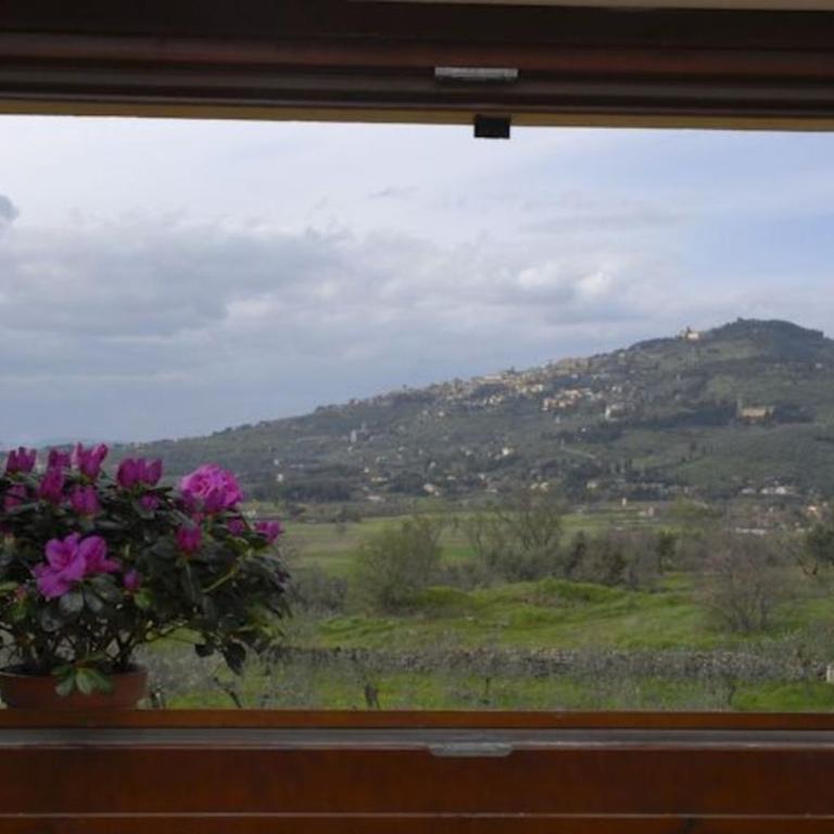 Villa Eleonora - Villa con Piscina Privata - 32