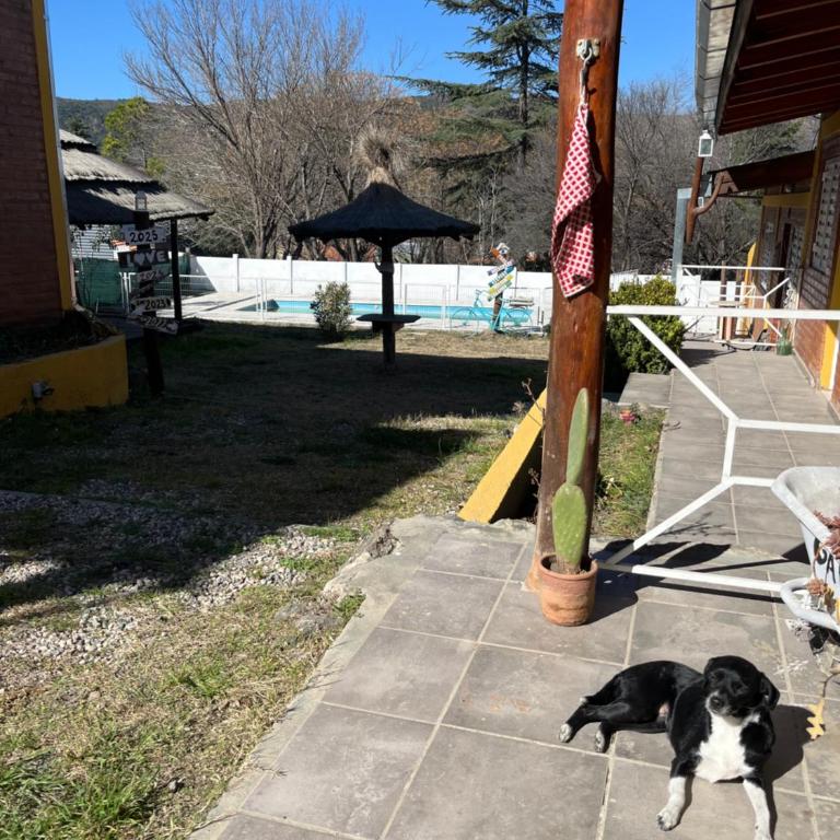 Complejo cerca del rio - Casa de 2 dormitorios - 4