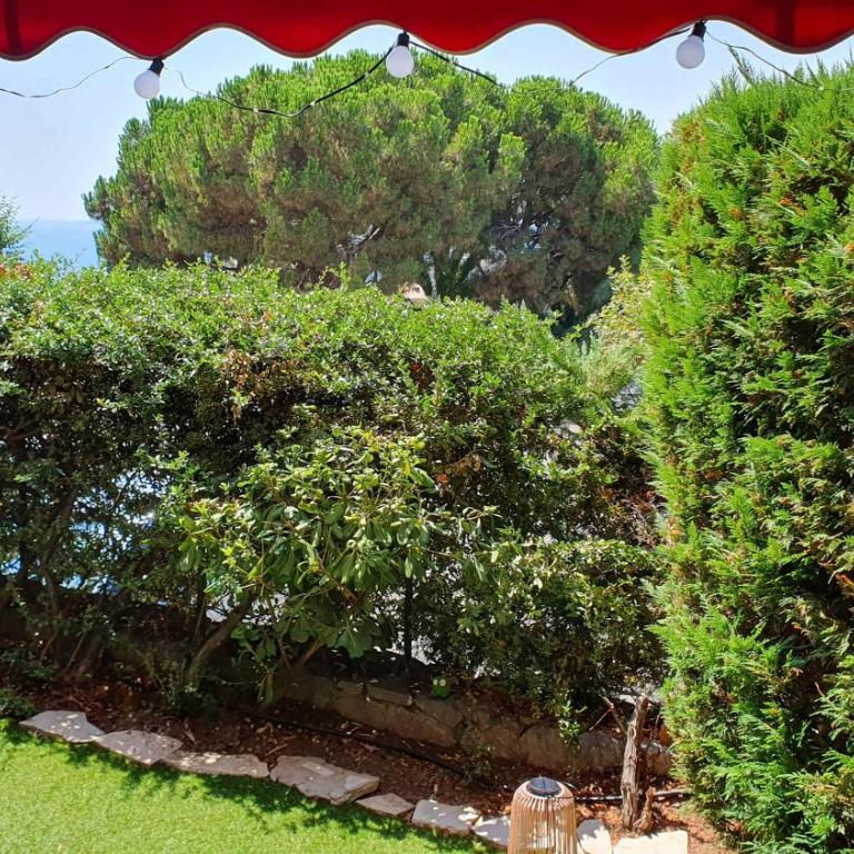 B084-Confort et serenite piscine et stationnement - Apartment - 6
