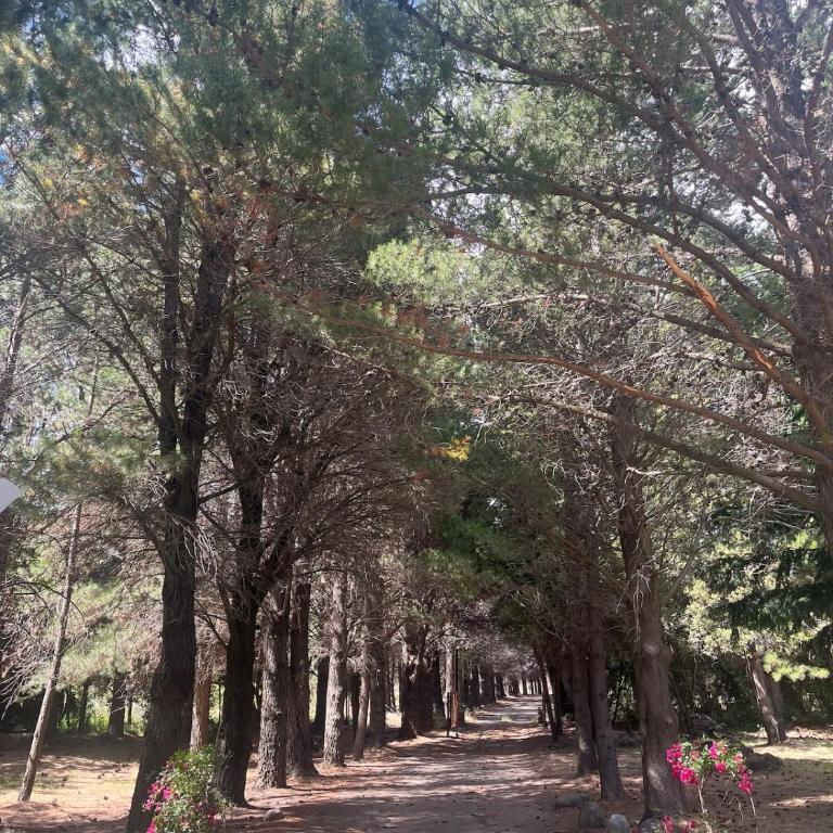 Petit Cottage - Casa de campo - Three-Bedroom Chalet - 27