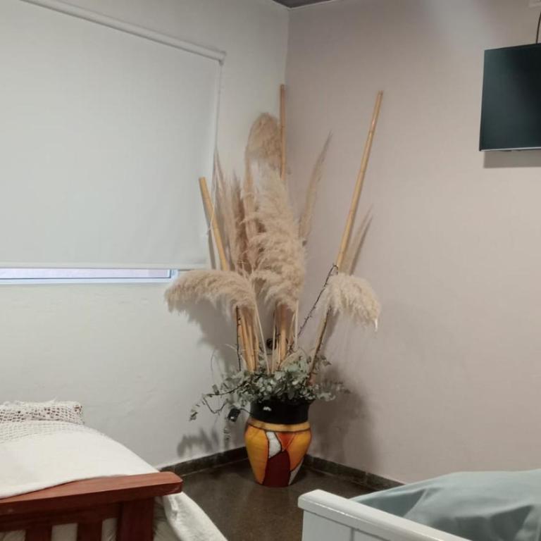 Bom Descanso - Casa con 1 dormitorio - 7