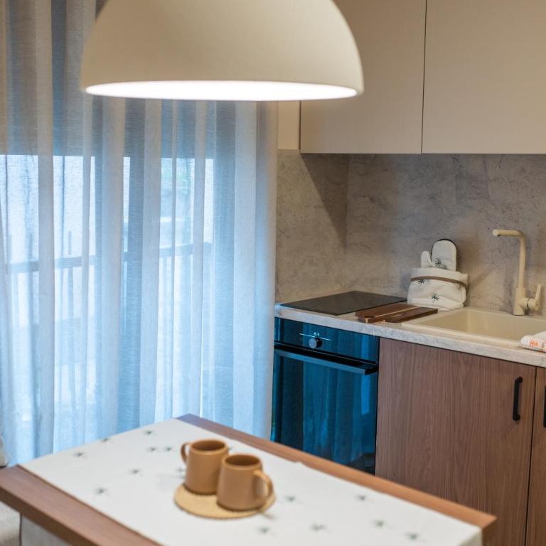 Nordic Nest Kolašin - Apartman sa 1 Spavaćom Sobom - 4