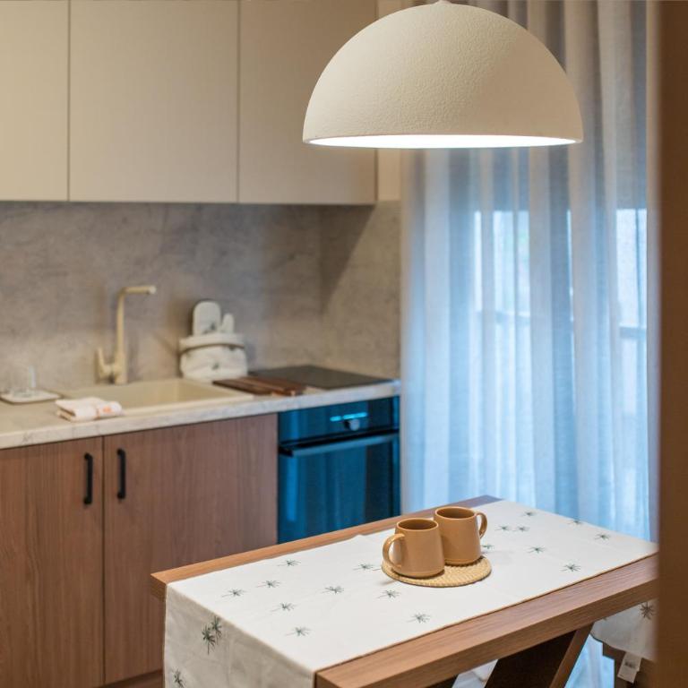 Nordic Nest Kolašin - Apartman sa 1 Spavaćom Sobom - 6