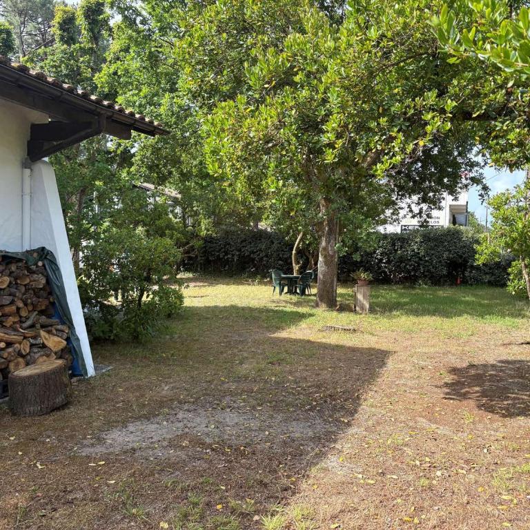 Charmante villa avec jardin clos, à 100m du Bassin d'Arcachon, proche plages et commerces, Wi-Fi - Villa de 3 dormitorios - 15