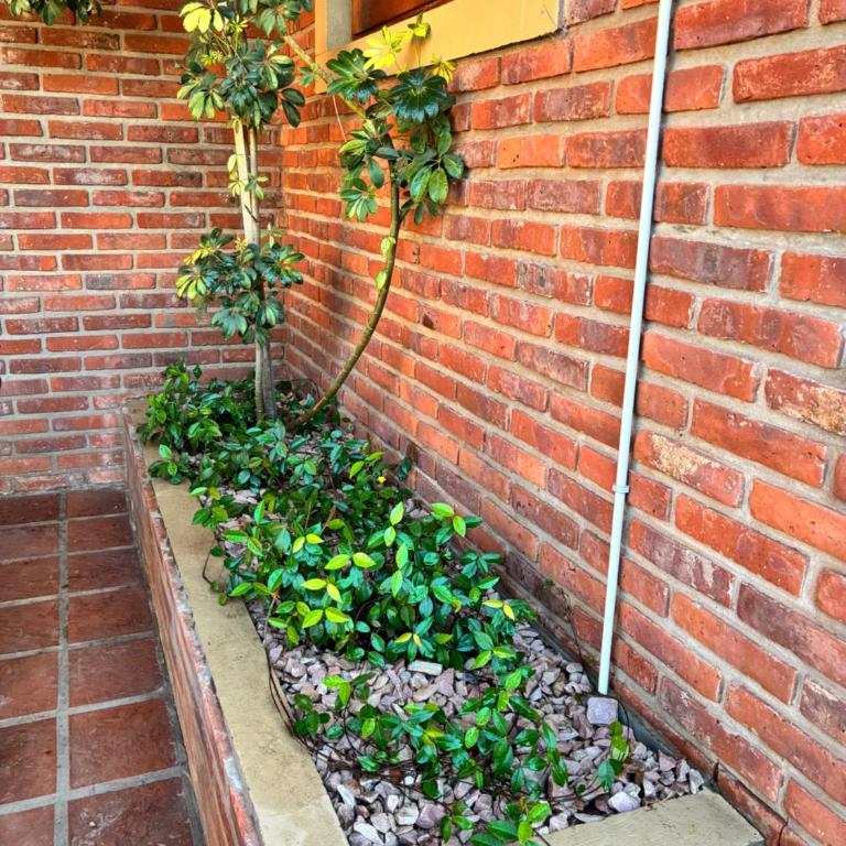 Rincón del roble - Two-Bedroom House - 7