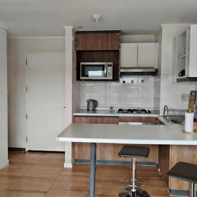 Departamento en Osorno 1D1B - One-Bedroom Apartment - 4