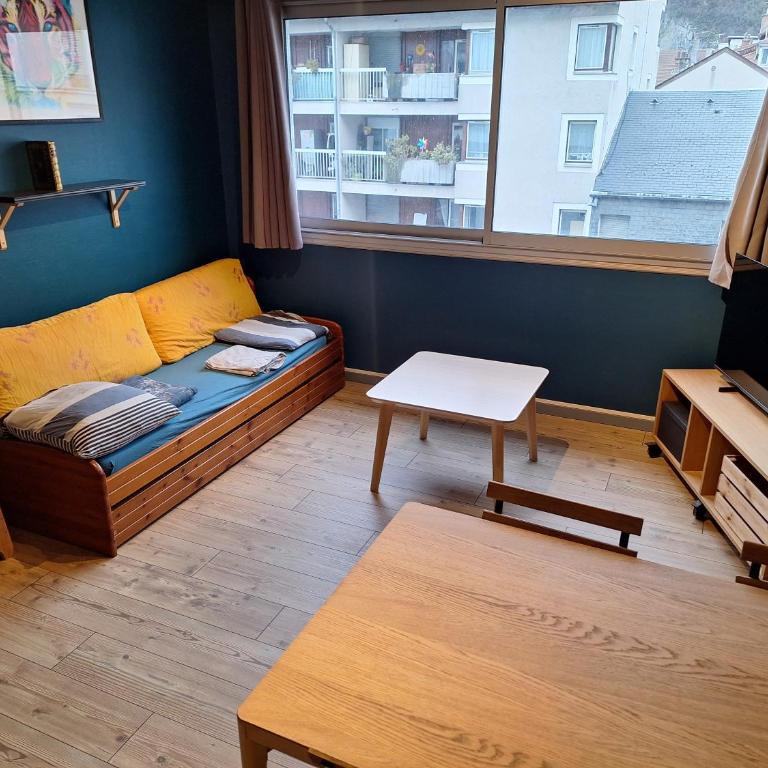 Grenoble: jardin de ville... - Appartement 1 Chambre - 4