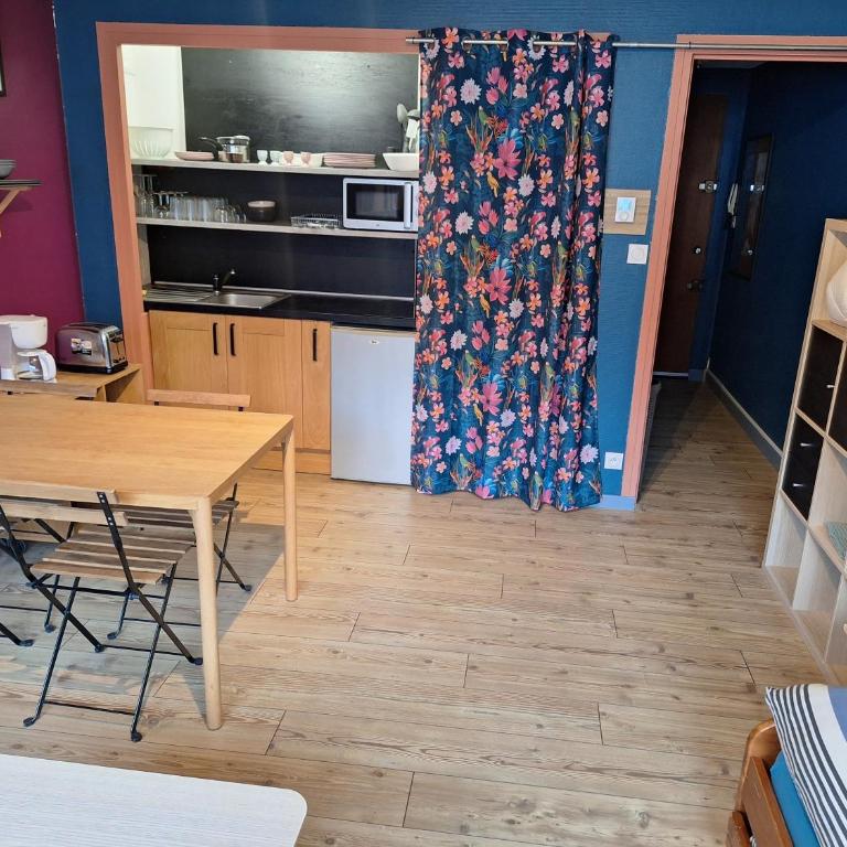 Grenoble: jardin de ville... - Appartement 1 Chambre - 10