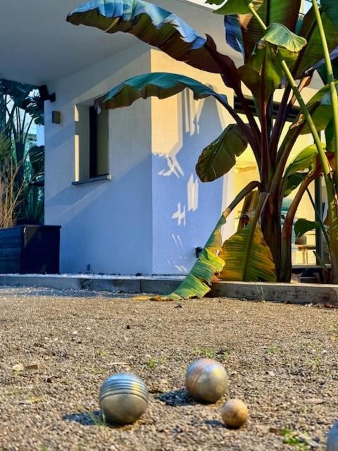 Villa bord de mer avec piscine et jardin tropical - Seaside villa with pool and tropical garden - Villa 3 Chambres - 31