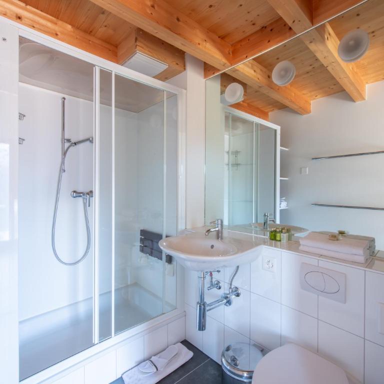Chalet Roossi - Maisonette-Apartment - 6