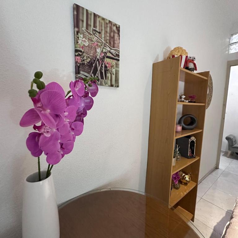Apartamento grande zona catedral centro - Three-Bedroom Apartment - 83