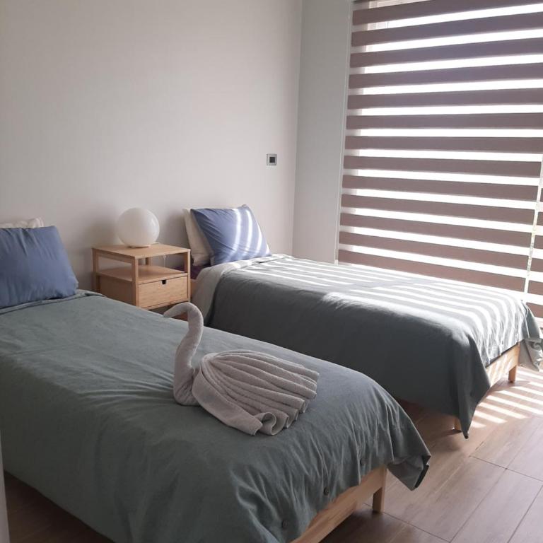 Departamento con patio Isla Teja - Two-Bedroom Apartment - 6