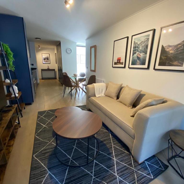 Fully Furnished 2 Bedroom Apartment in Greystar Somma - Two-Bedroom Apartment - 6