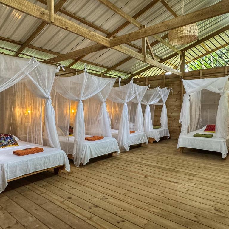 Madre Selva Eco Lodge - Habitación Familiar con vistas al jardín - 6
