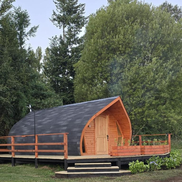 Tiny House - One-Bedroom Apartment - 4
