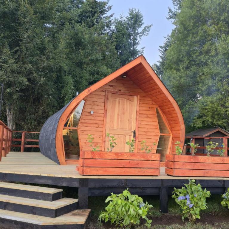 Tiny House - One-Bedroom Apartment - 2
