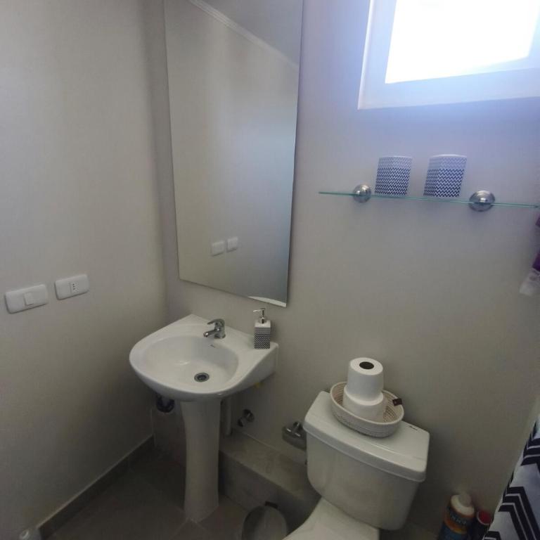 Departamento en Villarrica con vista al volcán y con gran conectividad - Apartamento de 1 dormitorio - 6