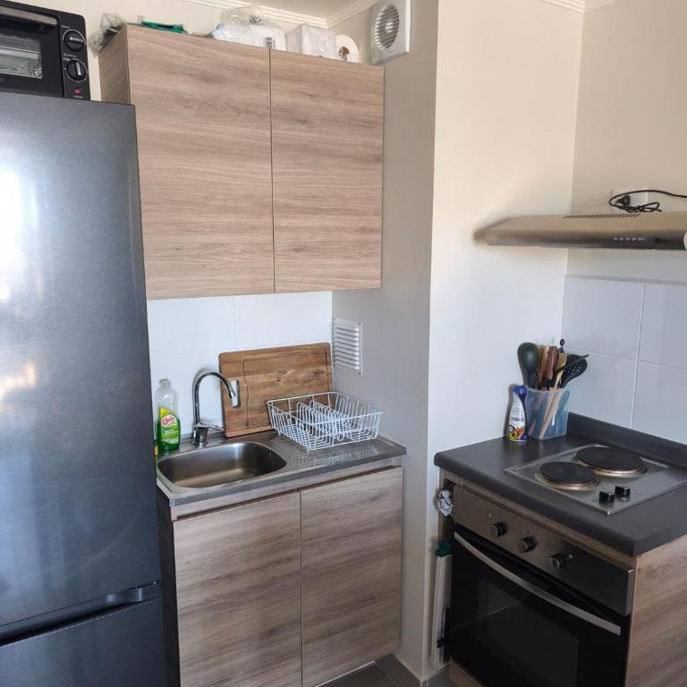 Departamento en Villarrica con vista al volcán y con gran conectividad - Apartamento de 1 dormitorio - 10
