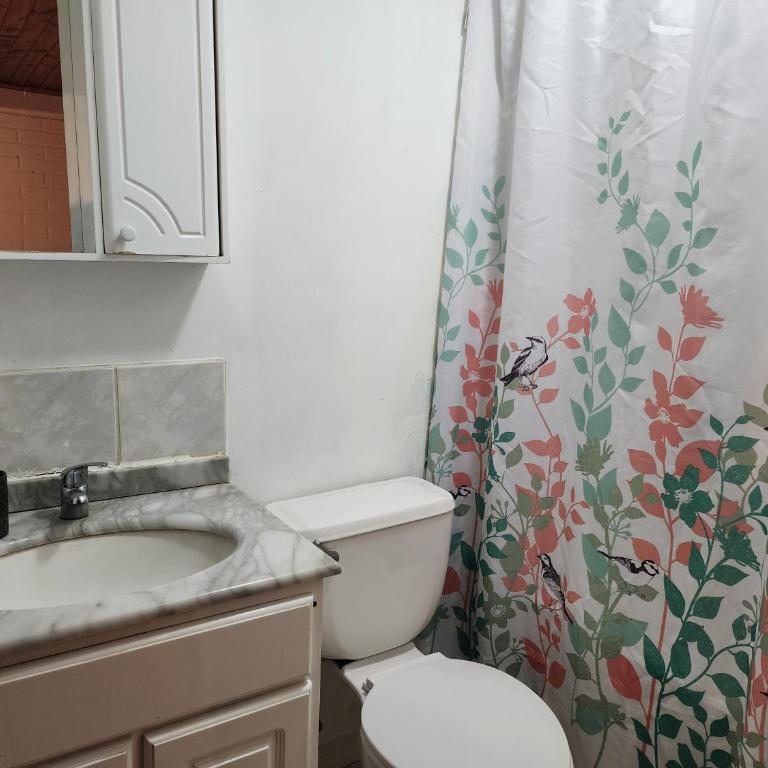 Amplia casa 4 dormitorios 8 personas a 3 cuadras de Ohiggins - One-Bedroom Apartment - 7