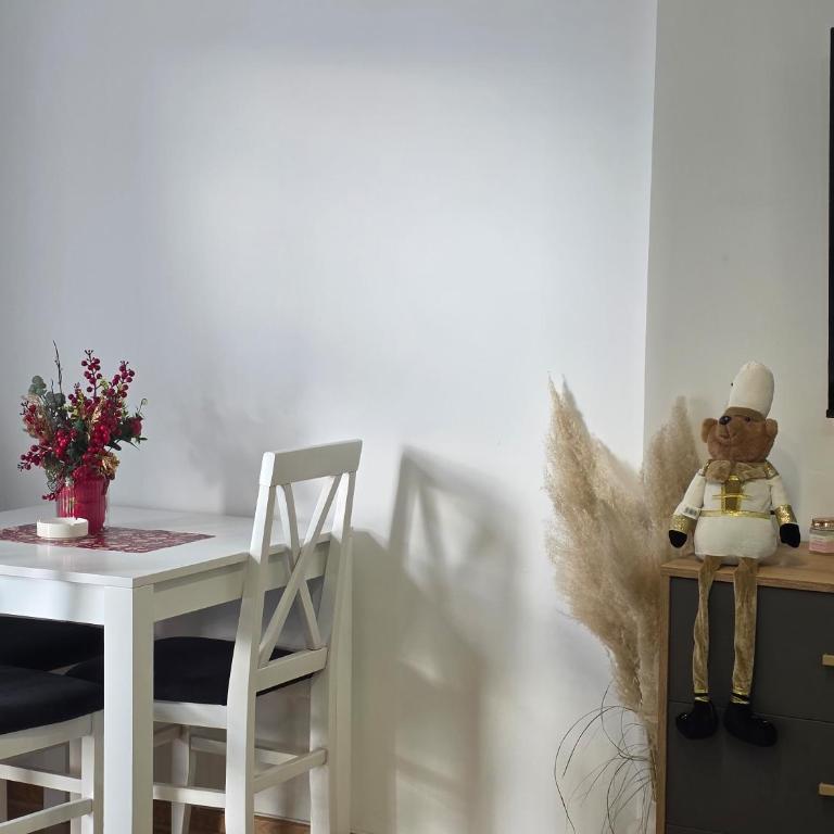Vision apartmani Vrnjačka Banja - Studio sa Terasom - 12