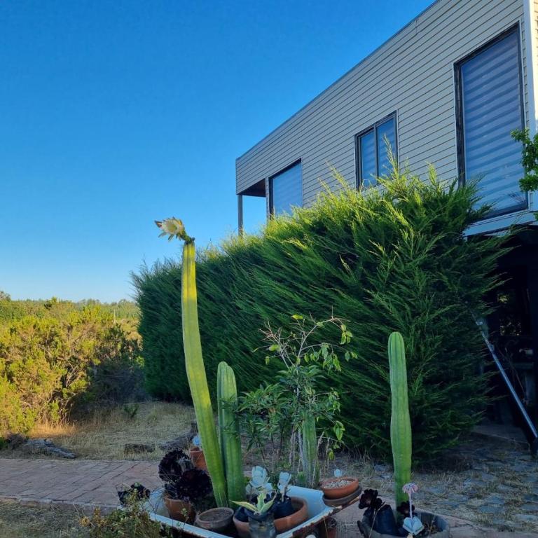 Palafitos Tunquen - One-Bedroom Apartment - 2