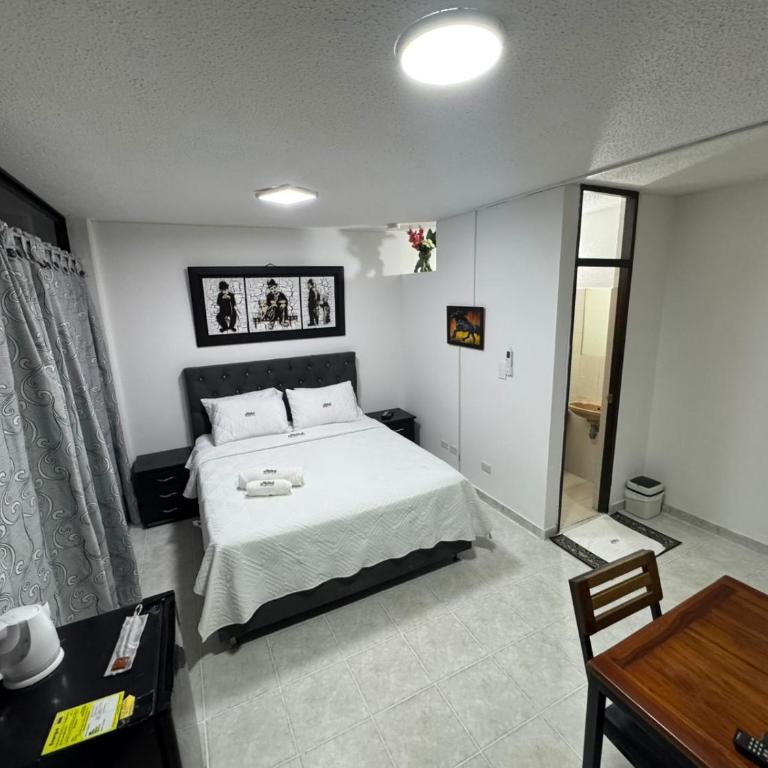 Apartamentos amoblados de 1, 2 y 3 dormitorios - Suite Deluxe - 10