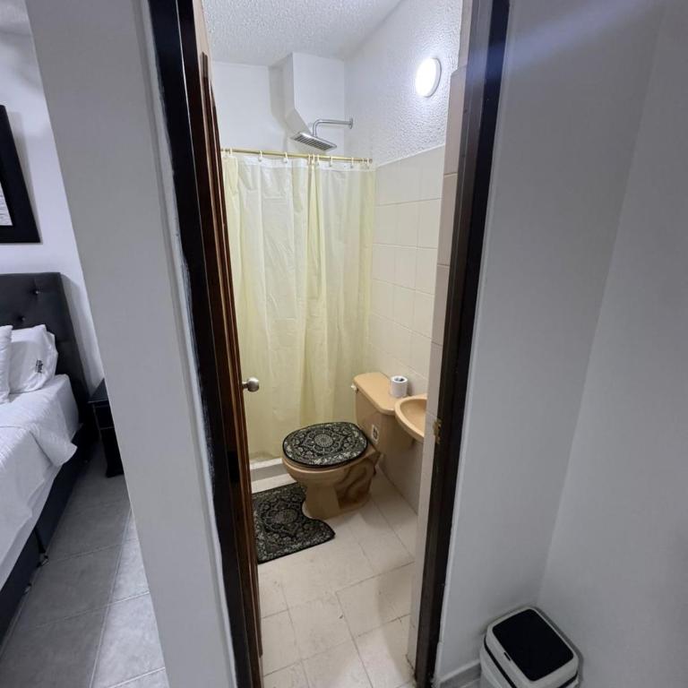 Apartamentos amoblados de 1, 2 y 3 dormitorios - Suite Deluxe - 6