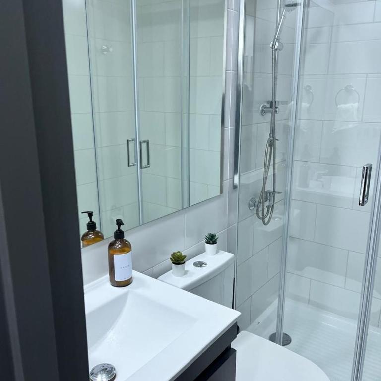 estudio premium santiago centro - Apartamento de 1 dormitorio - 21