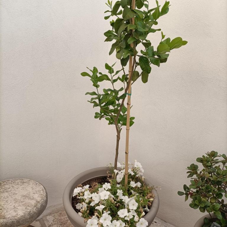 La Casa dei Mestieri - Appartamento con 2 Camere da Letto - 38