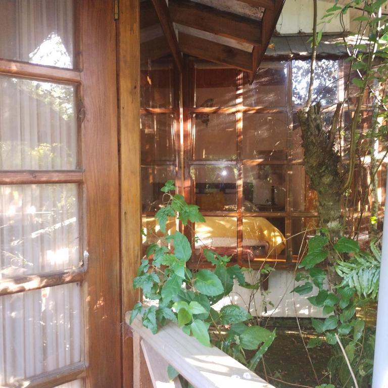 Cabañas Pétalos Villarrica Bungalows 2 personas - Casa con 1 dormitorio - 15
