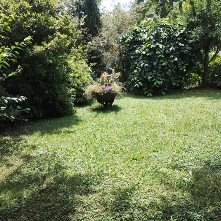 Cabañas Pétalos Villarrica Bungalows 2 personas - Casa con 1 dormitorio - 17