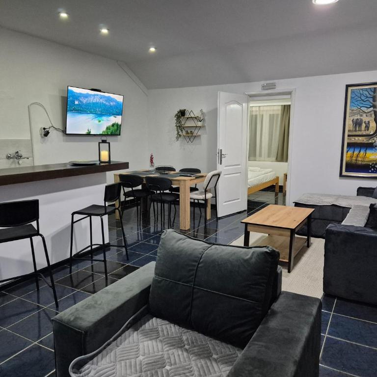 Niš Residence - Apartman s 1 Spavaćom Sobom i Terasom - 11