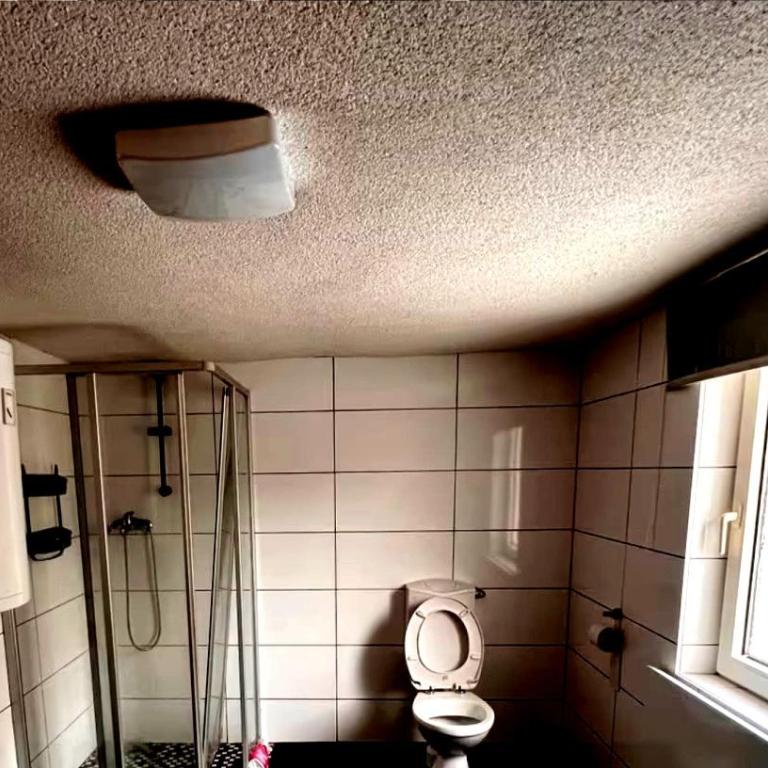 Chalet Faas - Apartment mit 1 Schlafzimmer - 2